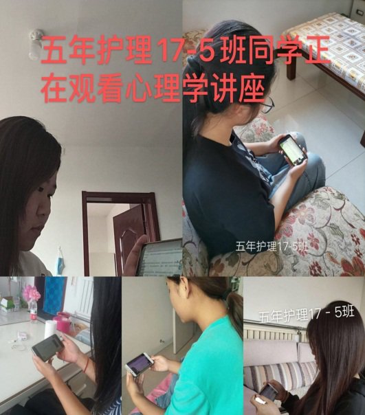 鱼丸app官网新人权益心理学副教授牛