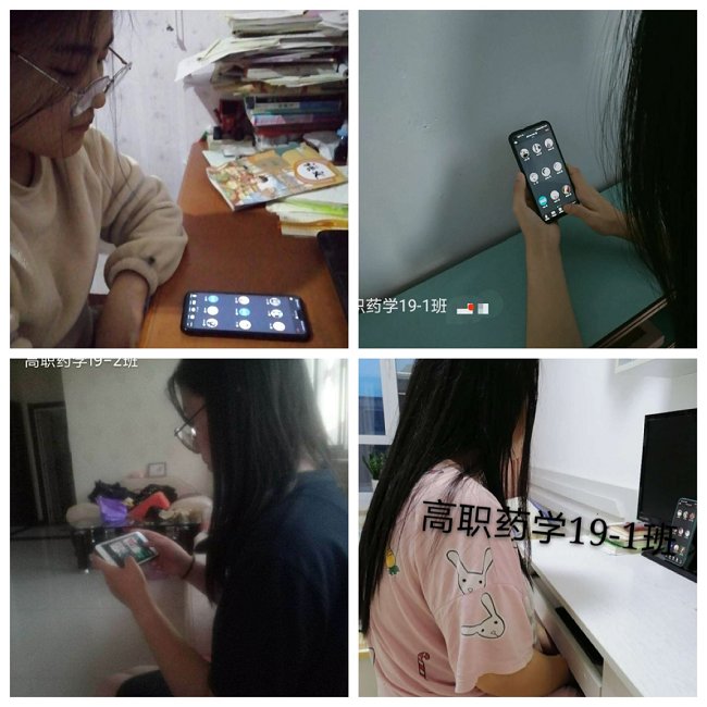鱼丸app官网最新版下载以5·25心